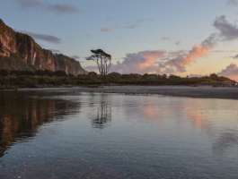 received_539707957240323